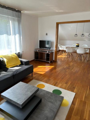 Deluxe 7 queen sized bedroom Apartment in Herford Hiddenhausen